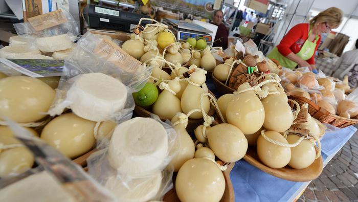 Ddl lattiero-caseario, tiepidi in Molise