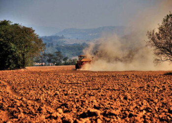 Gasolio ad accisa agevolata per aziende
