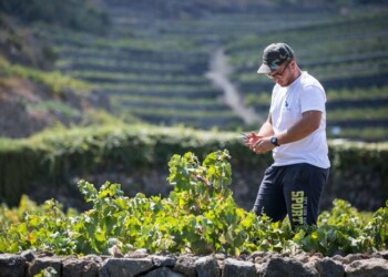Il Borro acquisisce Vitereta e raddoppia ettari a vite