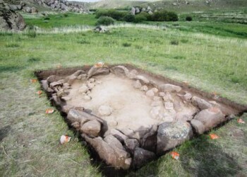 Il Dna racconta 10.000 anni di migrazioni