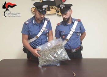 In auto con mezzo chilo di droga, arresto