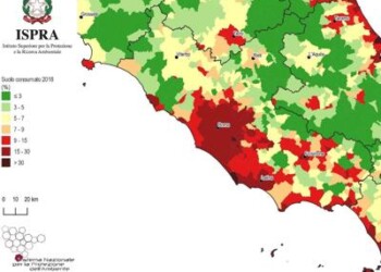 In città persi 24 mq per ogni ettaro di area verde
 