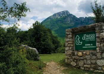 #IoSonoAmbiente, campagna nel Pnalm