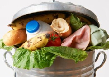 La ‘hit’ dello spreco, per 7 italiani su 10 in testa c’è il cibo  