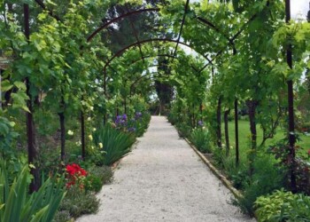 Mattarella sul Colle dell’Infinito