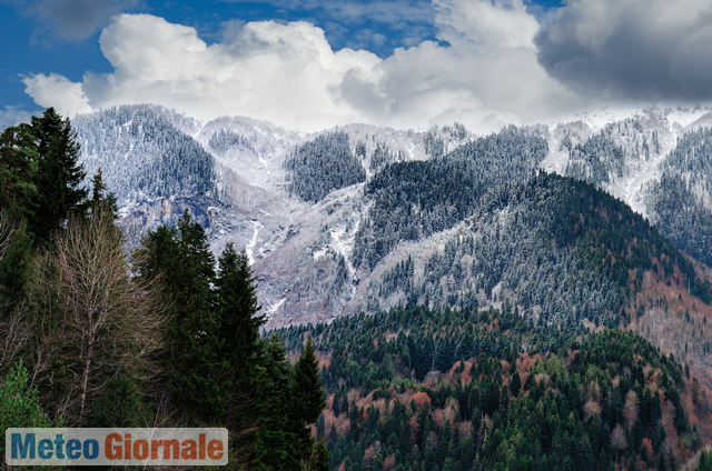 immagine 1 articolo meteo stati uniti neve in arrivo sul nord ovest