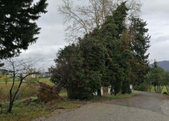 Meteo: Toscana, codice giallo da stasera