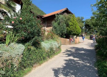 Neonato trovato morto, madre in carcere