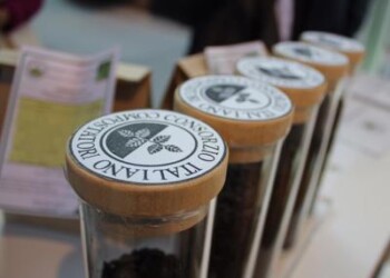 Rifiuti: Cic, criticità da rapida diffusione manufatti compostabili
 