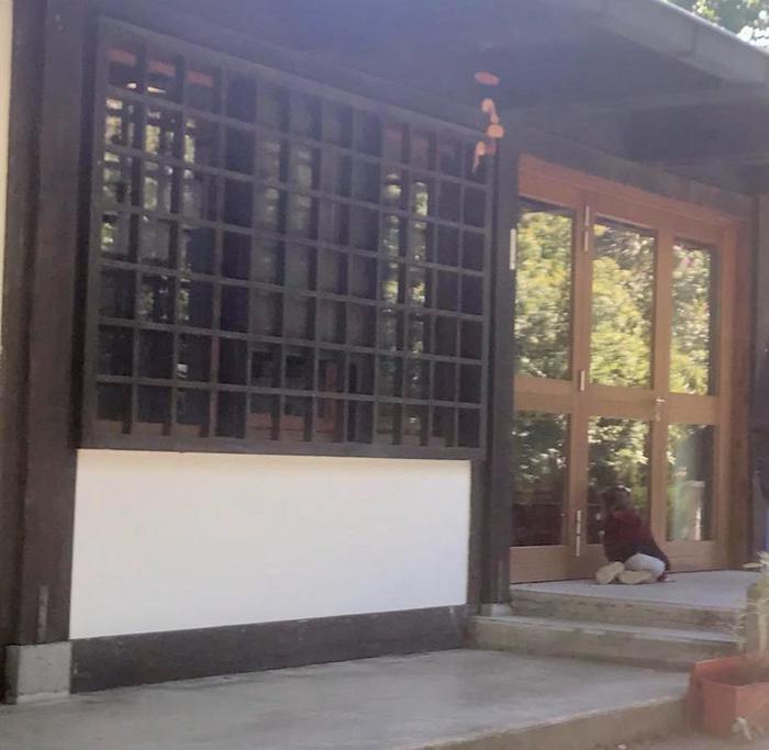 Solidarietà gemelline non ammesse scuola