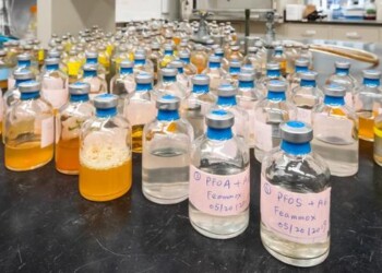 Trovati i batteri mangia-Pfas, ne eliminano fino al 60%