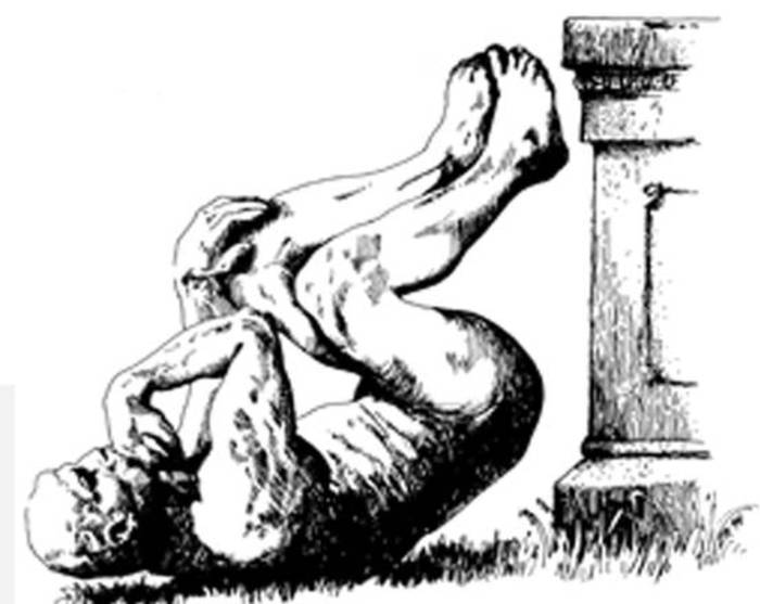 Tutto pronto per gli Ig Nobel,i premi alla scienza da ridere – DIRETTA