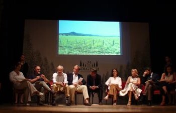 Vino: 25 anni di Doc Bolgheri, fra giovani aziende e cantine icona  
