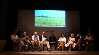 I 25 anni della Doc Bolgheri, fra giovani aziende e cantine icona