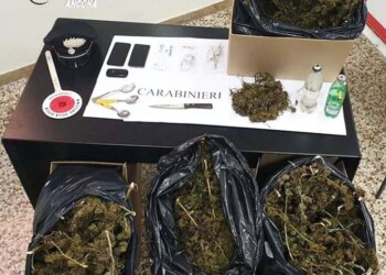 14 kg marijuana in casolare, arrestati dai carabinieri