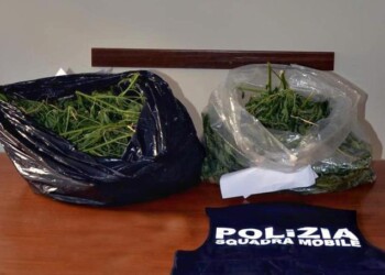 3,5 kg marijuana in un rudere, denunciato