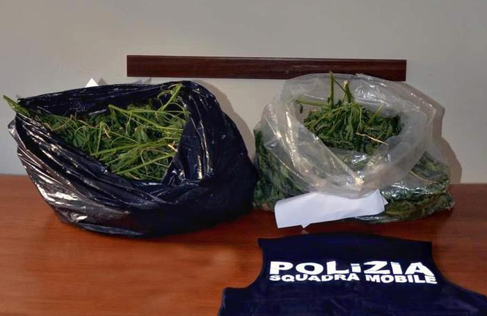 3,5 kg marijuana in un rudere, denunciato
