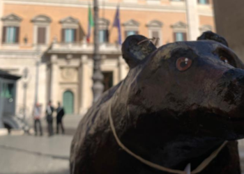 50 orsi bruni marsicani a Montecitorio