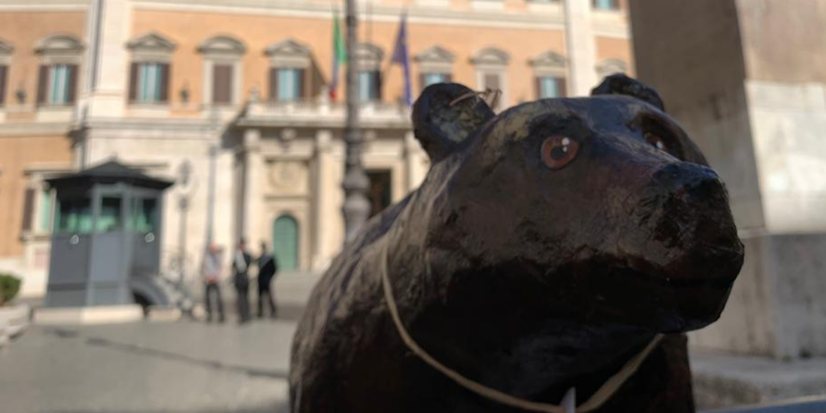 50 orsi bruni marsicani a Montecitorio