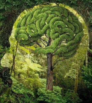 In Italia sempre più persone fanno affidamento all’Ecopsicologia