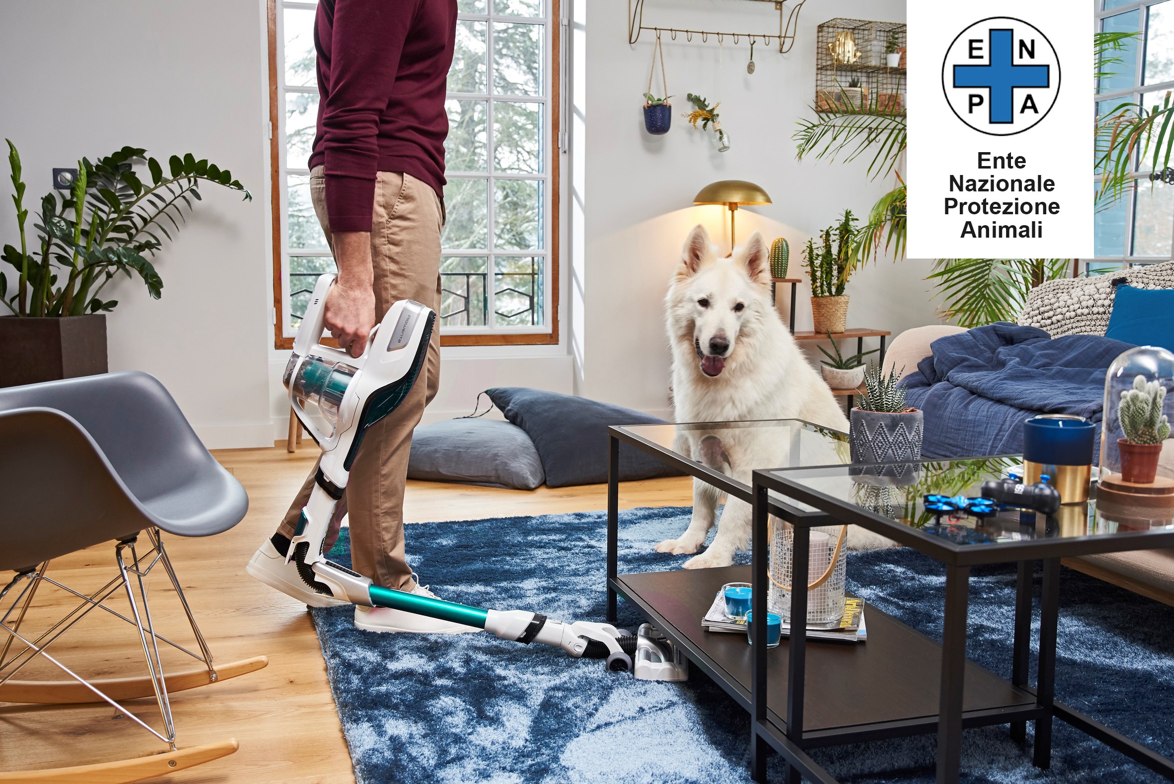 4 OTTOBRE 2019: GIORNATA MONDIALE DEGLI ANIMALI