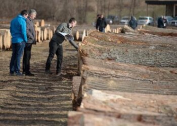 A Riva del Garda il 15 novembre 1° ‘Forum italiano del legno’  