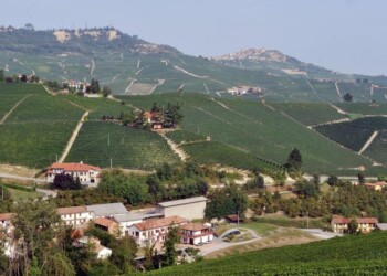 Acqui su Rai Uno con Linea Verde Life