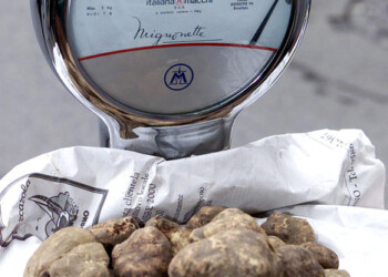 Ad Acqualagna 54/a Fiera tartufo ha profumo di sostenibilità