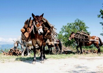 Al via progetto ‘Antiche vie mulattiere’