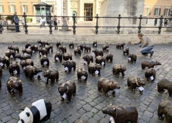 Animali: 50 orsi marsicani in piazza Montecitorio  