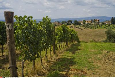 Enel Energia Tour a Poggibonsi, D'Aprile: Valorizziamo eccellenze locali