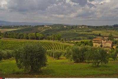 Enel Energia Tour, vice sindaco Poggibonsi: Orgogliosi di scelta