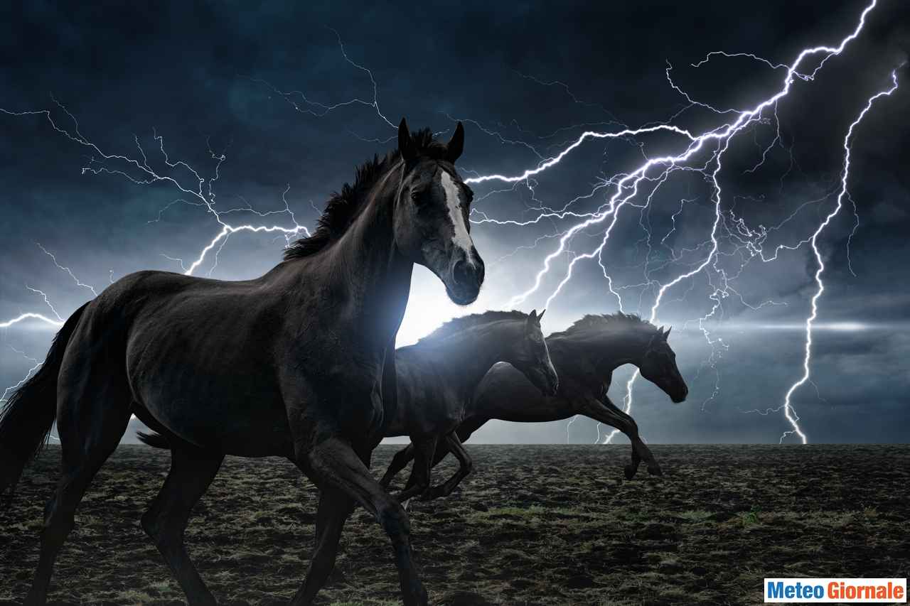 immagine 1 articolo focus meteo sud italia le possibilita di pioggia prossimi giorni