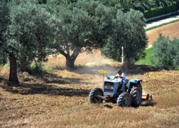 Fondazione Enpaia: in 2018 +2,8% iscritti 