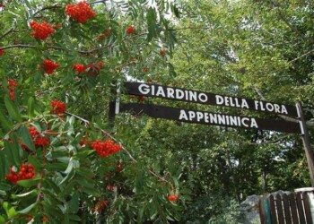 Giardino flora Appenninica fa 55 anni