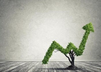 Green new deal, ecco cos’è il piano che renderà l’Italia più sostenibile
 