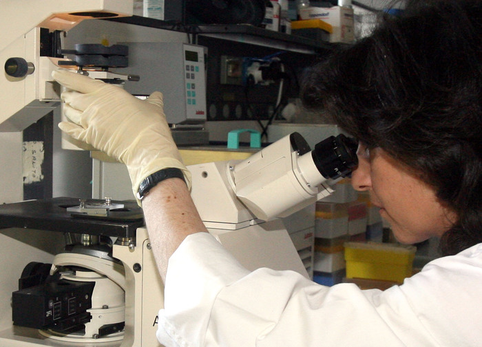 Gusto della Ricerca raccoglie 100 mila euro per beneficenza