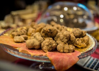 Il tartufo di San Pietro Avellana a Eataly