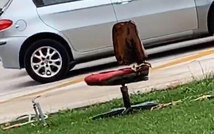 Incendio sedia in bagno scuola, evacuata