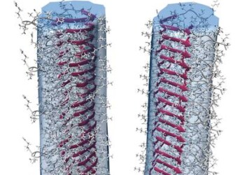 La fisica mette il turbo alla scoperta di nuovi farmaci