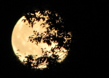 La Luna regina del cielo di ottobre