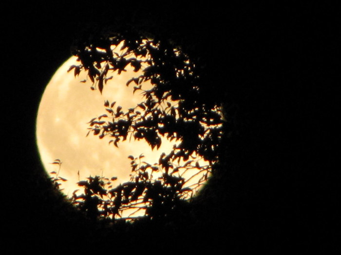 La Luna regina del cielo di ottobre