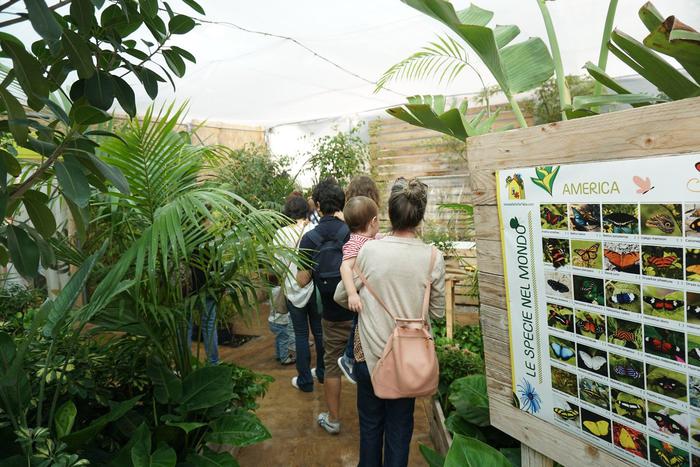 Le farfalle tornano a Palermo, inaugurata la “casa”