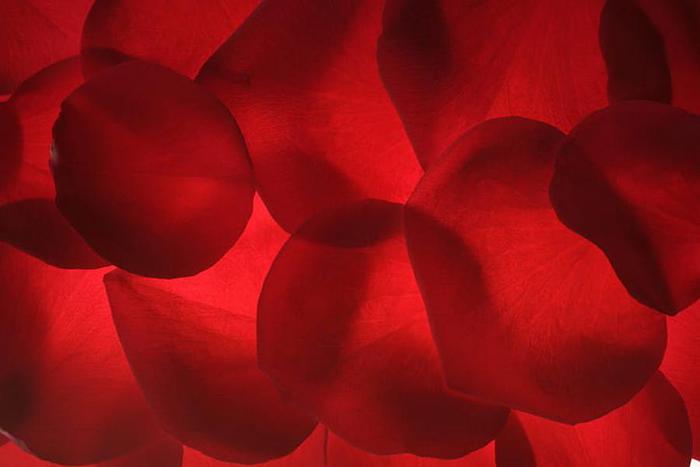 L’orgasmo femminile uno stratagemma dell’evoluzione