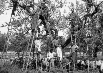 Matera 2019 è ‘Il Paese della Cuccagna’