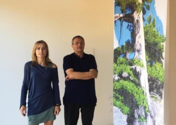 Mery Rigo, il pino di 1230 anni è arte