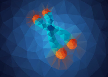 Nati i primi topi con i cromosomi anti-età