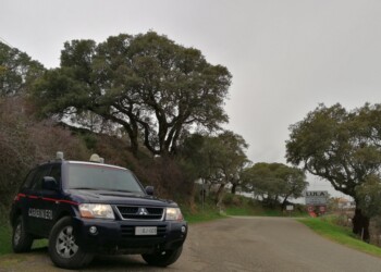 Non si ferma all’alt e ferisce due carabinieri