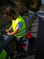 Operazione sicurezza per l’orso marsicano