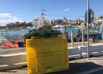 Pescatori puliscono banchine del porto